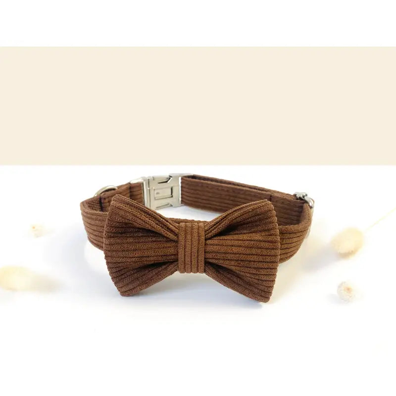 Kit Complet Chien Personnalisé Velours Côtelé Chocolat