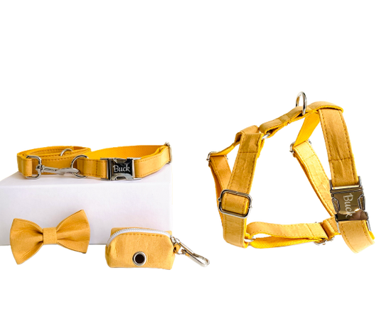 Kit Complet Chien Personnalisé Coton Jaune Transparent Background