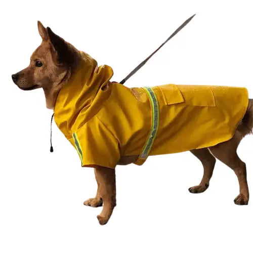 Manteau de pluie chic pour chiens S-5XL offrant une protection dans un design jaune imperméable Transparent Background