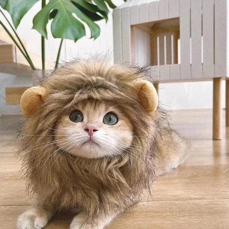 Chat portant un manteau en velours corail avec une crinière de lion, accessoire en velours doux
