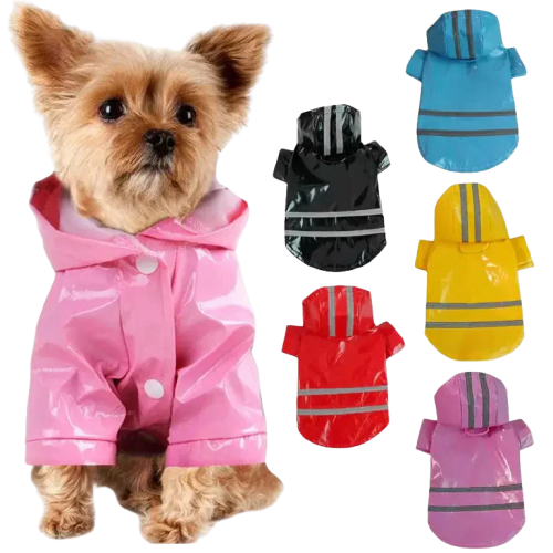 Petit manteau imperméable pour chien : un chien en manteau réfléchissant sous la pluie Transparent Background