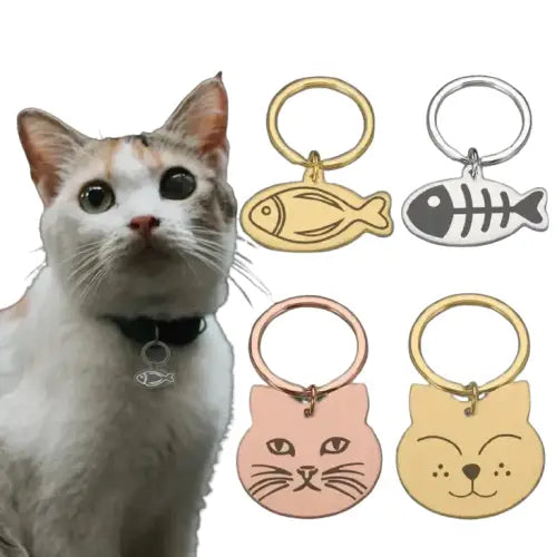Chat portant une médaille d’identité en acier inoxydable avec une étiquette d’identification en forme de visage de chat Transparent Background