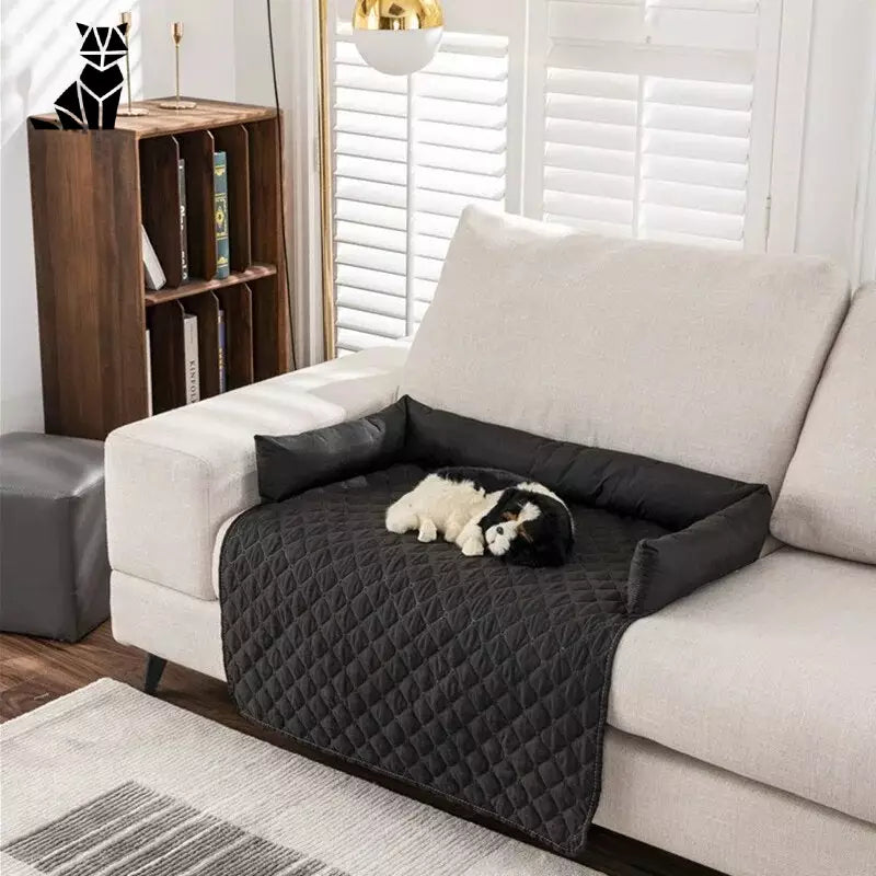 Chien couché sur le canapé dans le salon avec housse de lit imperméable pour chien - [Brand Name]