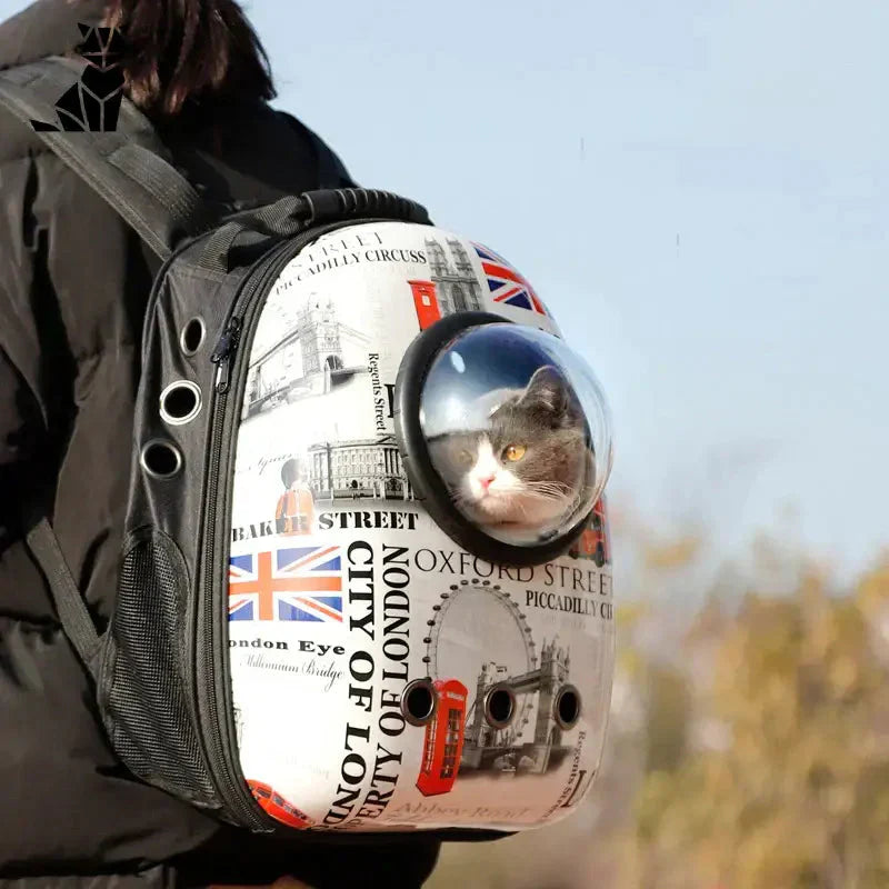 Femme portant un casque avec un chat dans un sac à dos transparent pour une vue panoramique et un confort optimal