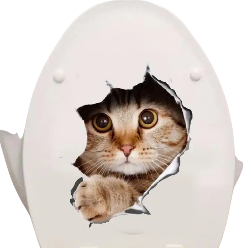 Stickers Chat Surprise En 3d Pour Une Salle De Bain Ludique Transparent Background